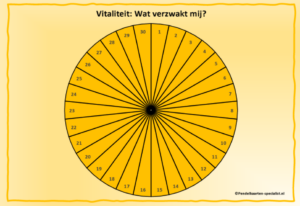 Pendelwiel Vitaliteit: Wat verzwakt mij?